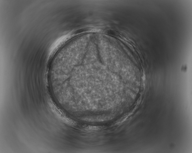 X0000115510149200912041110