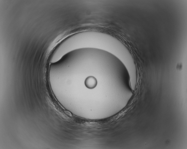 X0000115510150200912041110