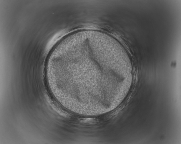 X0000115510151200912041110