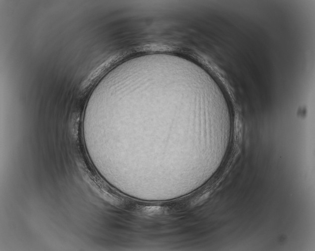 X0000115510153200912041110