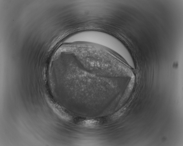 X0000115510158200912041110