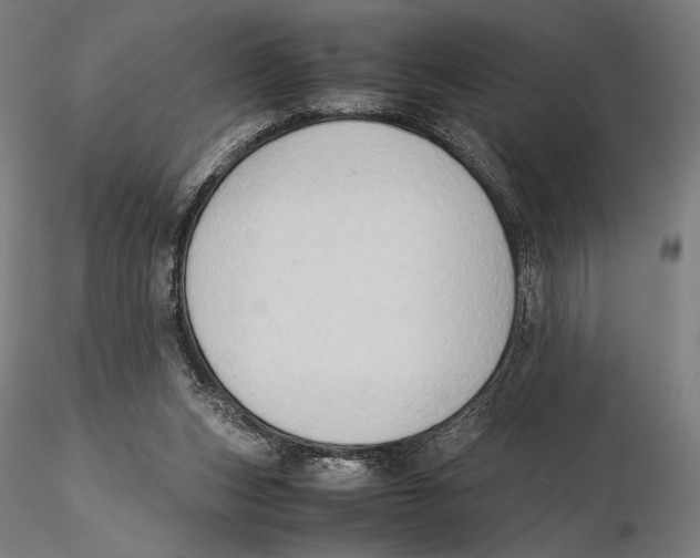 X0000115510159200912041110