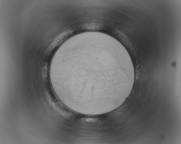 X0000115510163200912041110