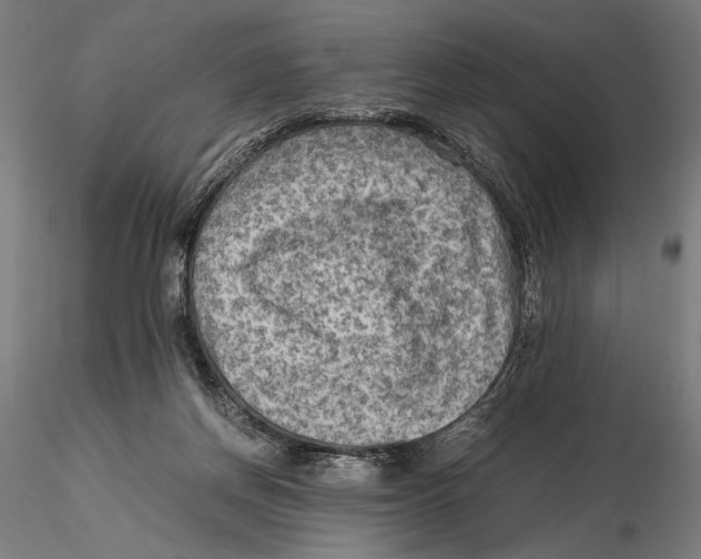 X0000115510166200912041110