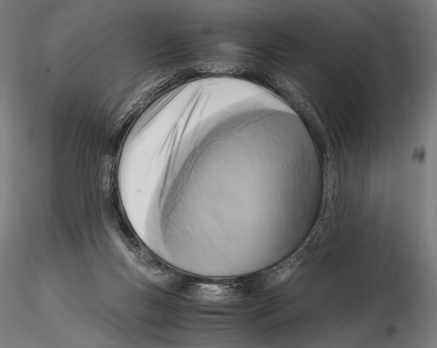 X0000115510167200912041110