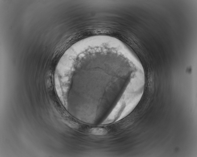 X0000115510169200912041110