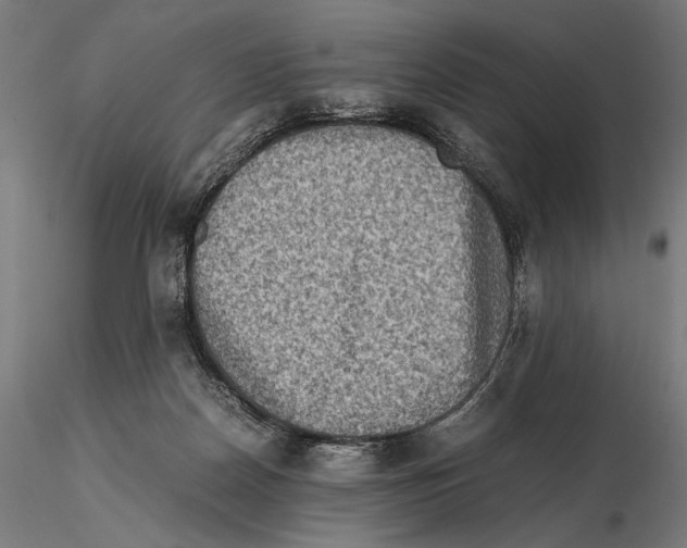 X0000115510170200912041110