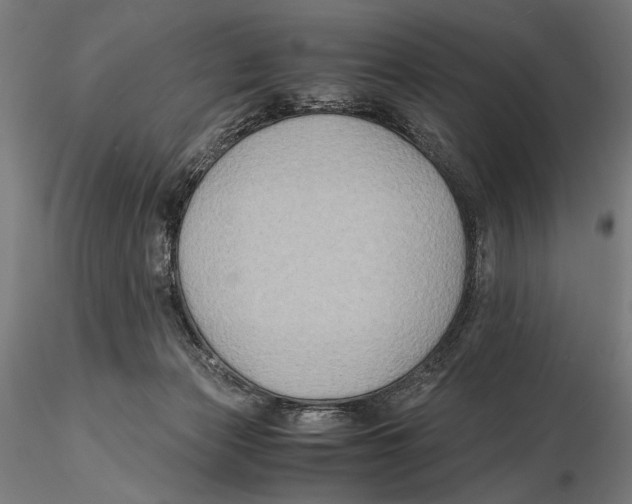 X0000115510173200912041110