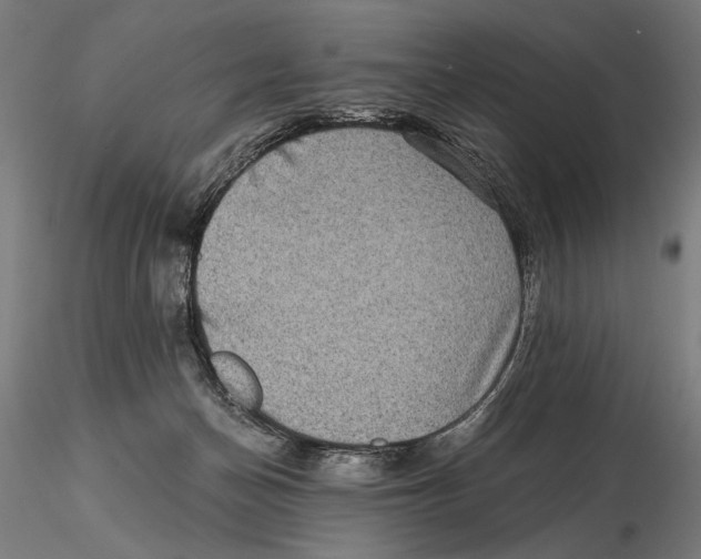 X0000115510174200912041110