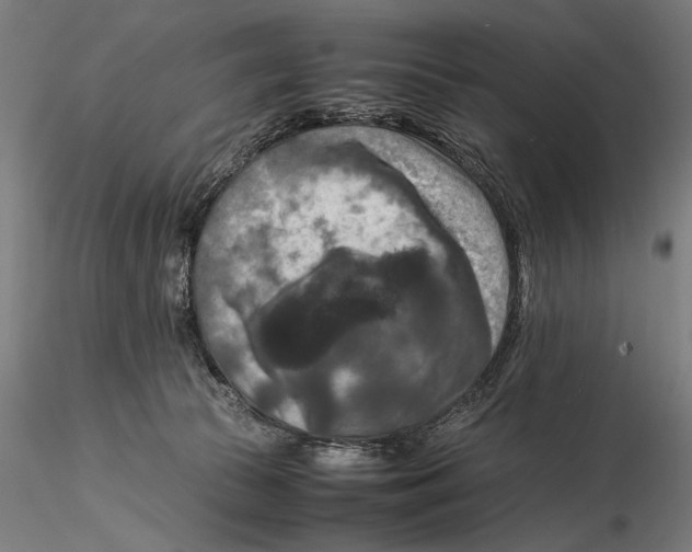 X0000115510177200912041110