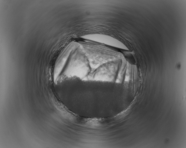 X0000115510182200912041110