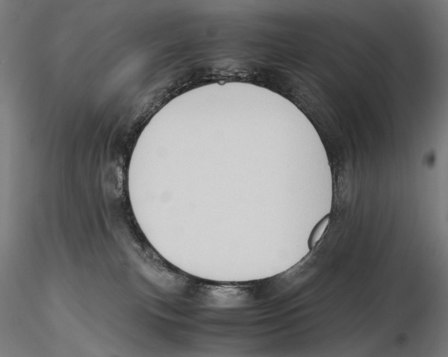 X0000115510183200912041110