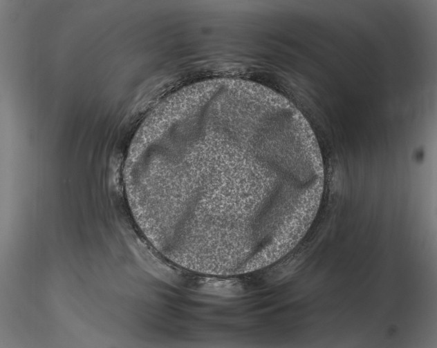 X0000115510185200912041110