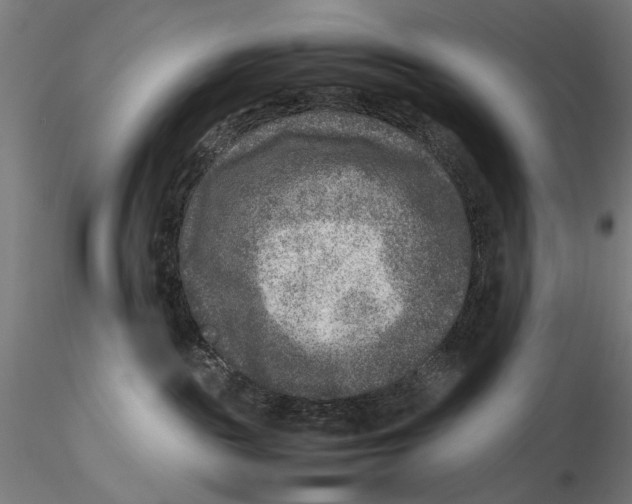 X0000115510189200912041110