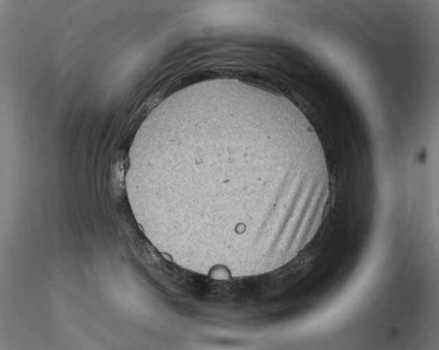 X0000115510190200912041110