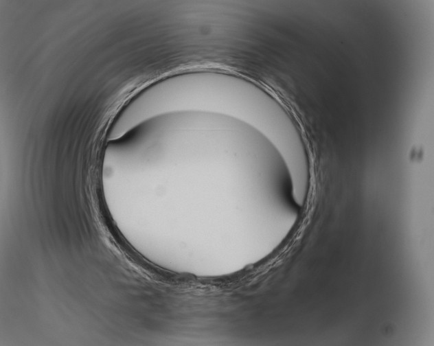 X0000115510193200912041109