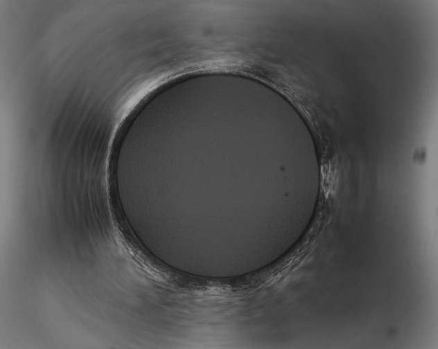 X0000115510196200912041109