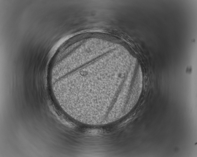 X0000115510200200912041109