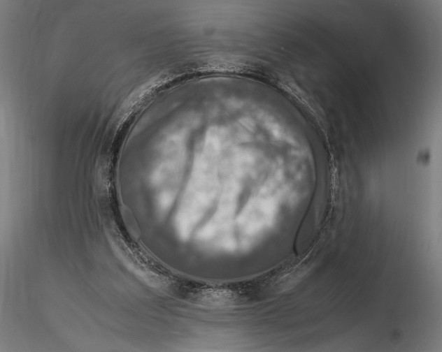 X0000115510203200912041109