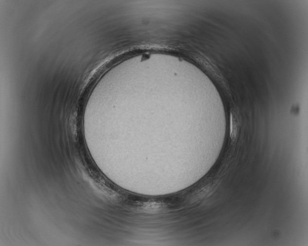 X0000115510204200912041109