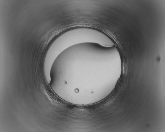 X0000115510205200912041109