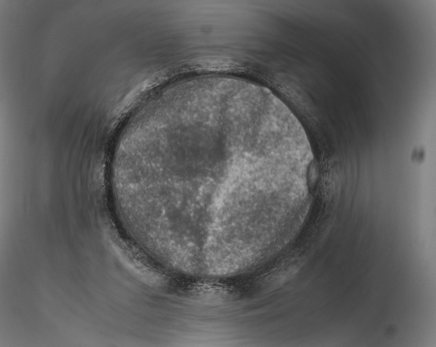 X0000115510207200912041109