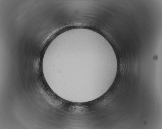 X0000115510208200912041109