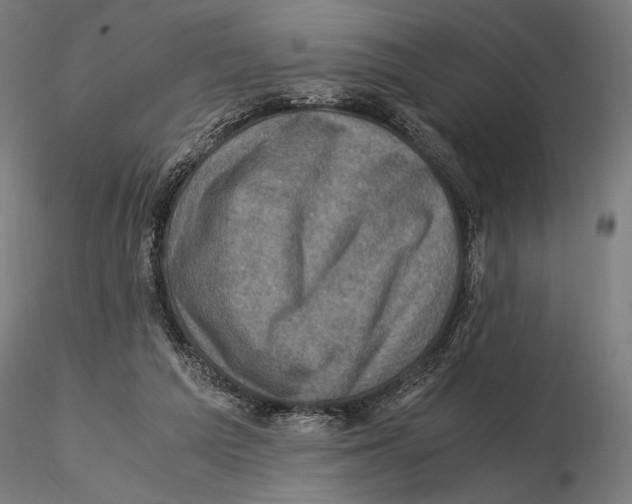 X0000115510209200912041109