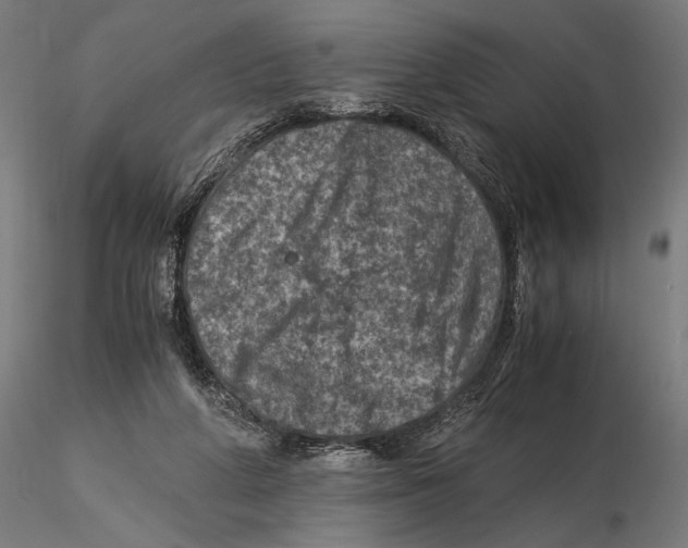 X0000115510210200912041109