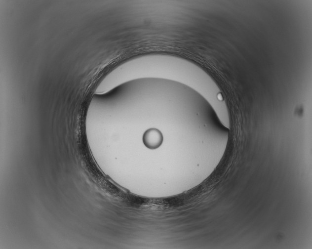 X0000115510211200912041109