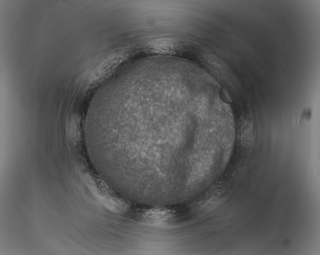 X0000115510213200912041109