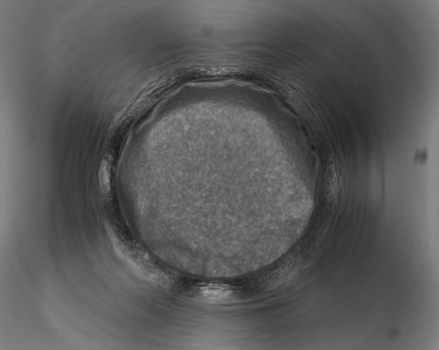 X0000115510214200912041109