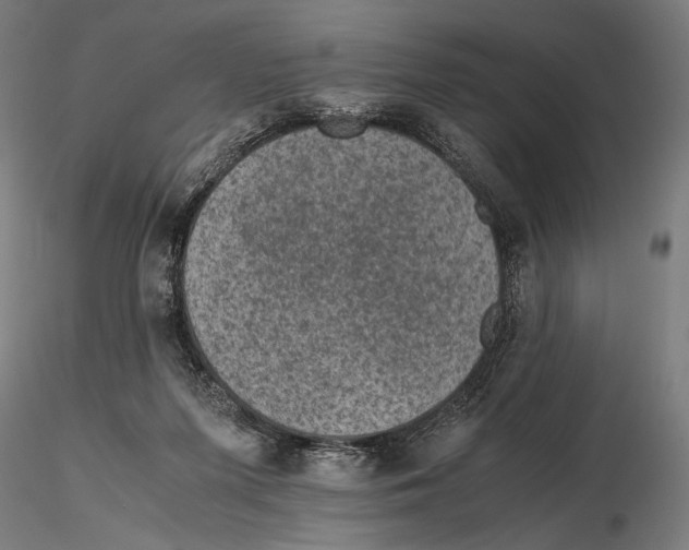 X0000115510215200912041109