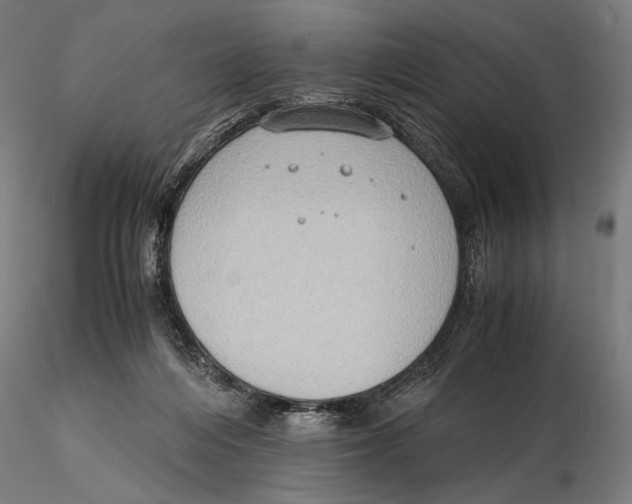 X0000115510216200912041109