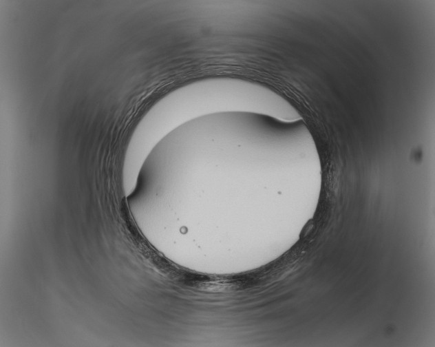 X0000115510219200912041109