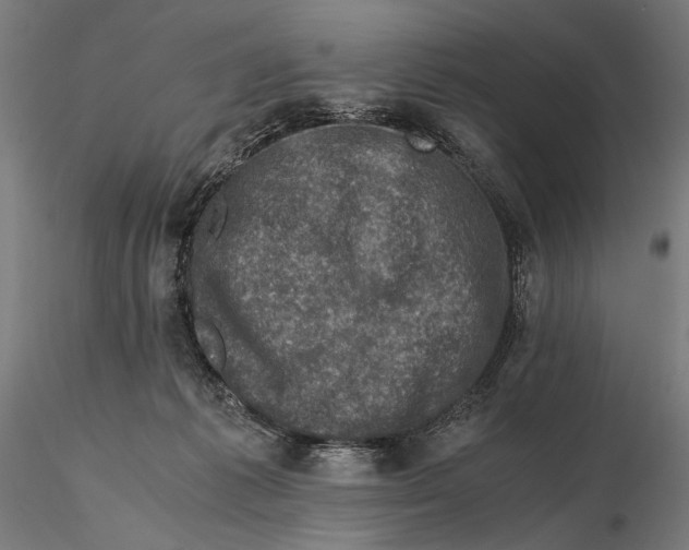 X0000115510221200912041109