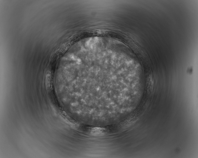 X0000115510222200912041109