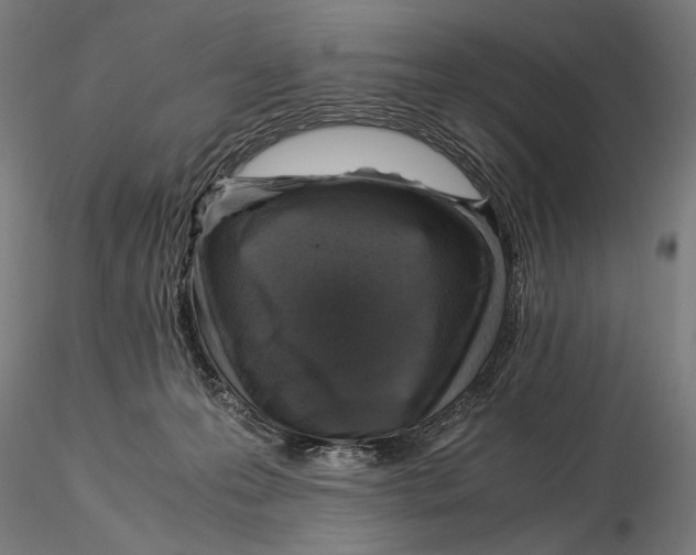 X0000115510223200912041109