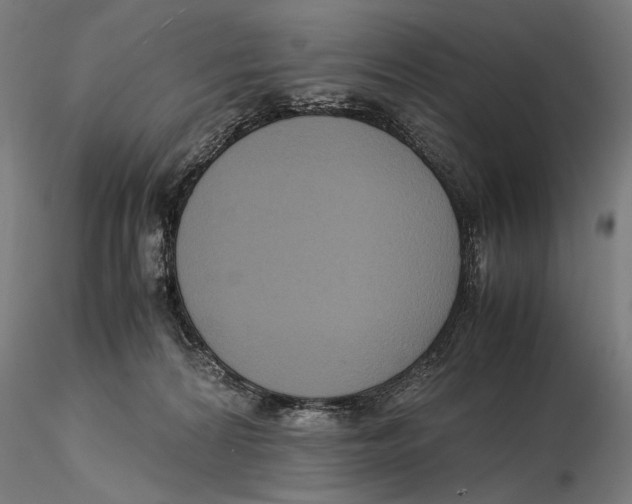 X0000115510224200912041109