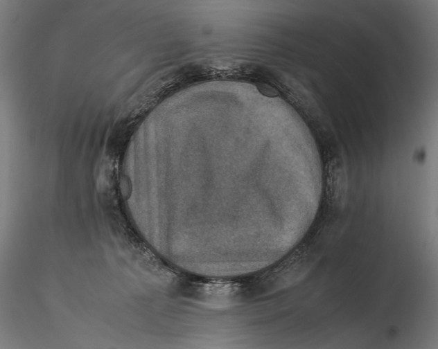 X0000115510225200912041109