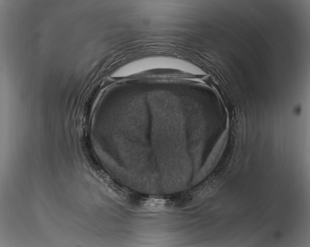 X0000115510227200912041109