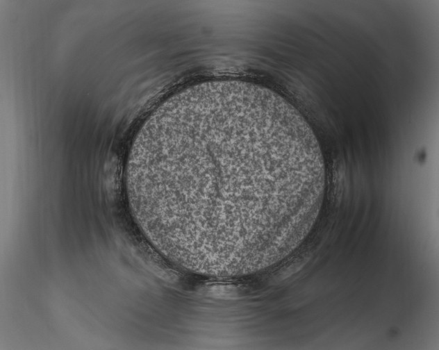 X0000115510228200912041109