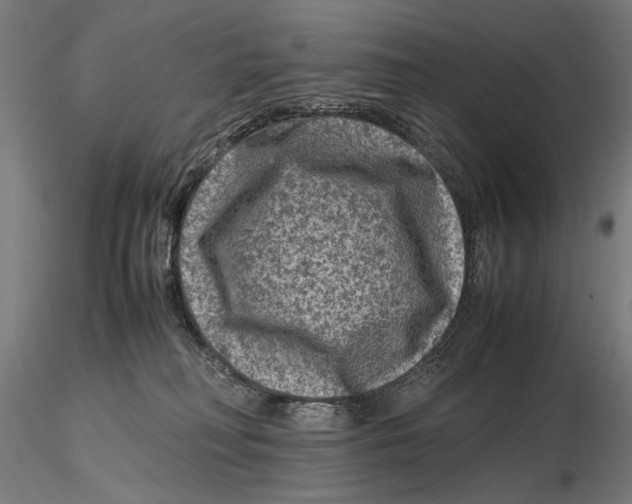 X0000115510230200912041109