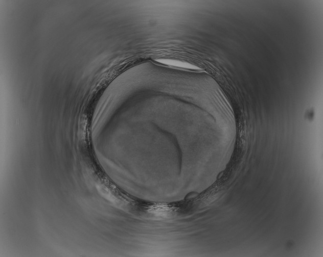 X0000115510231200912041109