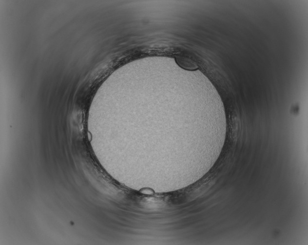 X0000115510232200912041109