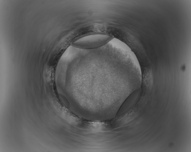 X0000115510233200912041109