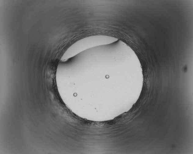 X0000115510235200912041109