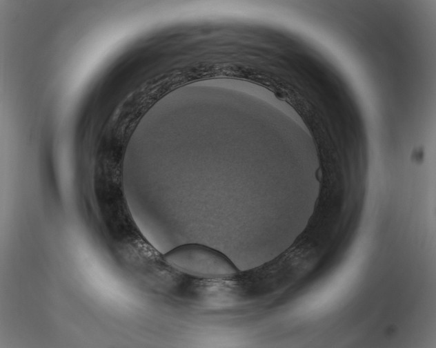 X0000115510239200912041109