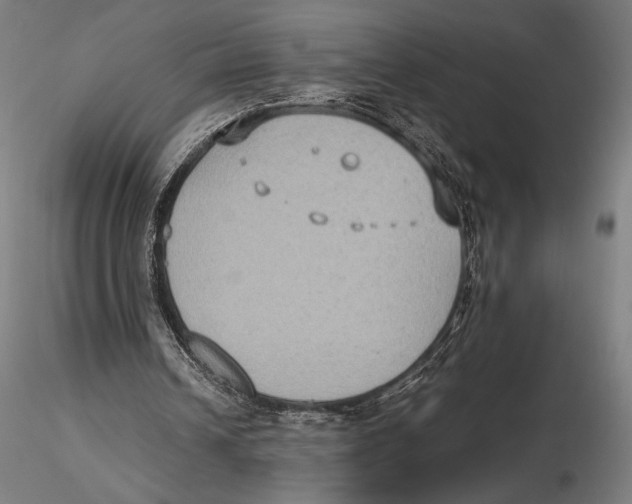 X0000115510242200912041108