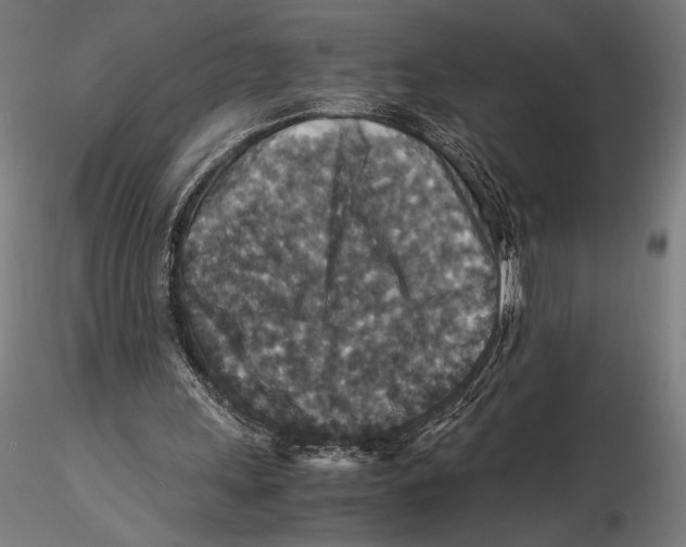 X0000115510243200912041108